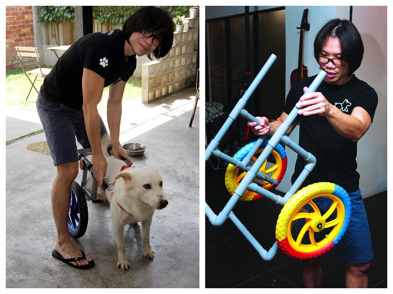 Diy Wheelchair Gives Disabled Dogs A New Lease On Life Options The Edge - Diy Dog Wheelchair For Back Legs