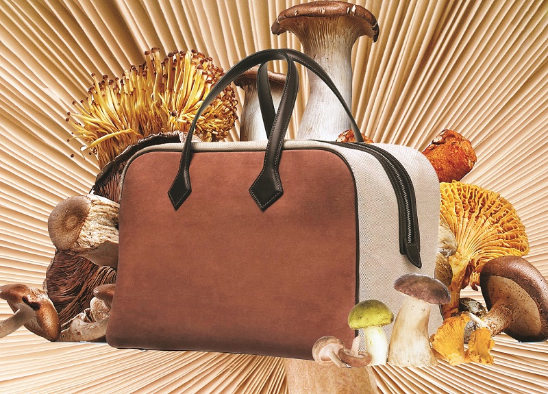 Hermès' Mushroom Leather Bag – Step Towards A Cruelty-Free Future or Mere  'Humane Washing'?
